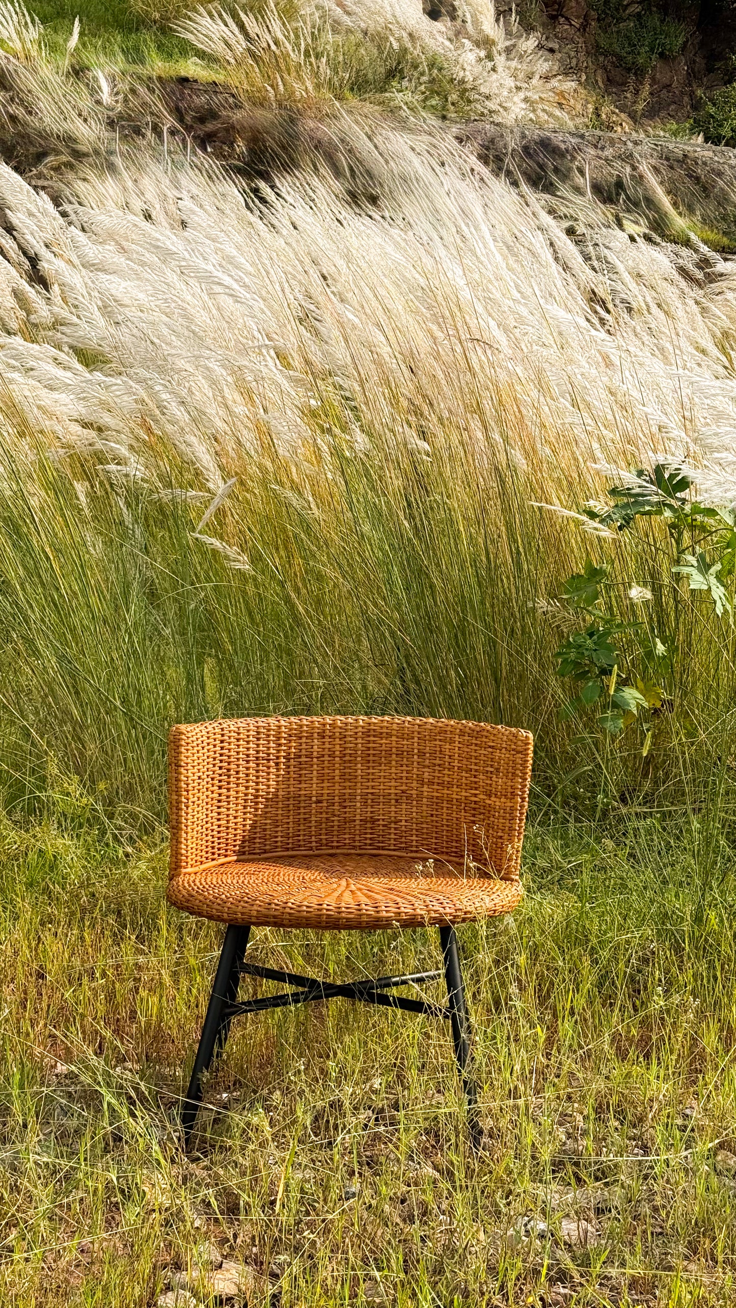 Saha Chair