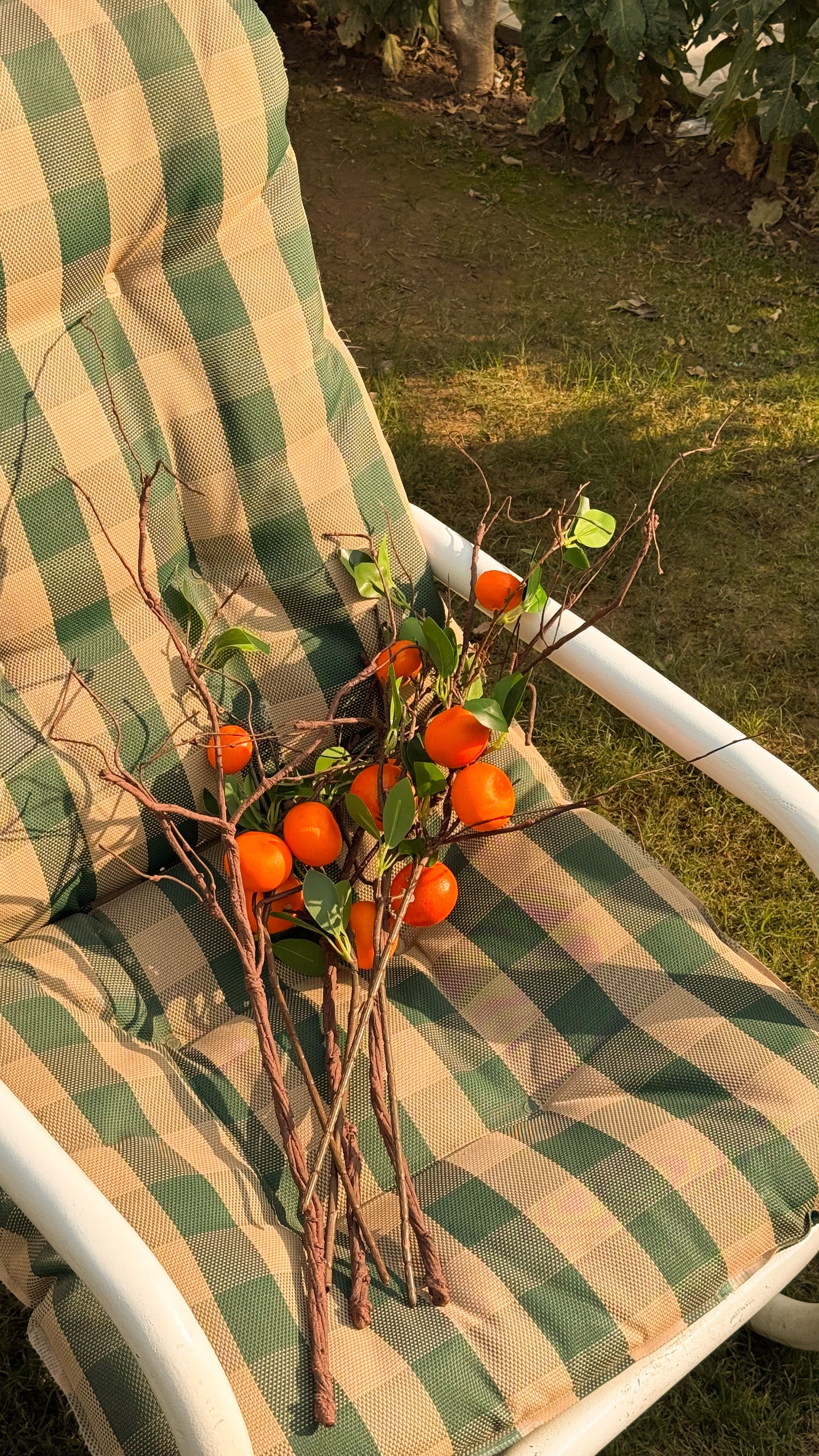 Prebooking for Orange stem