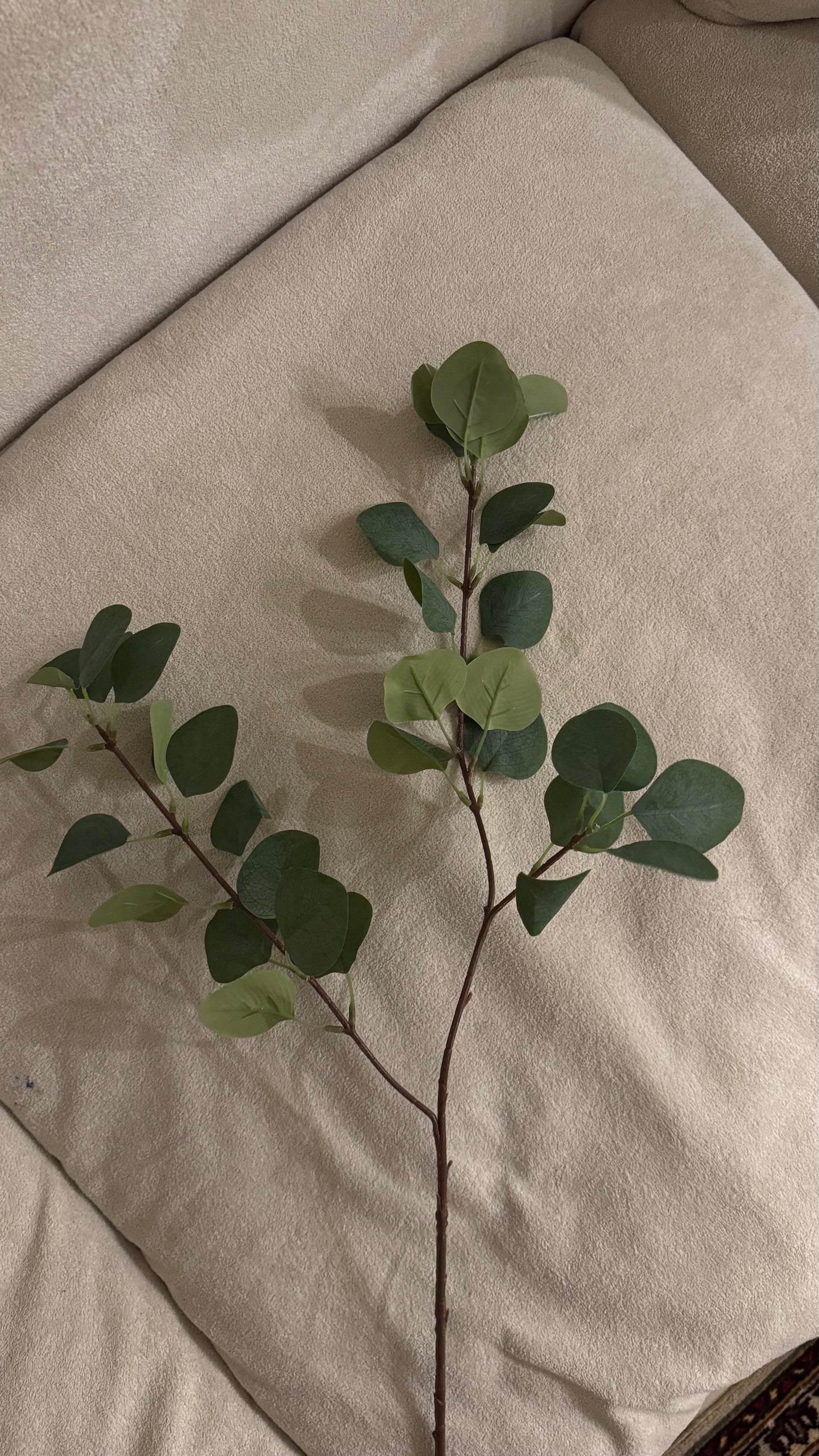 Large faux eucalyptus stem( Preorder)