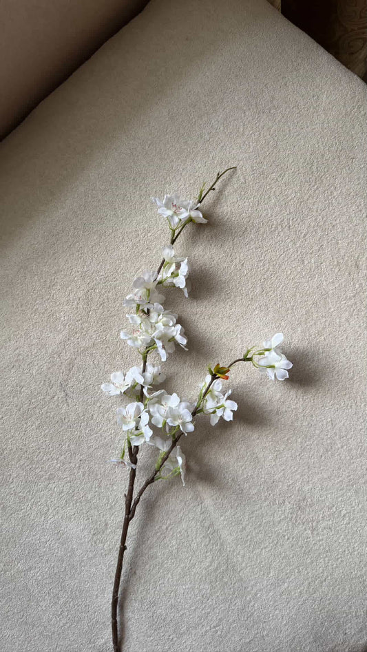 Pre-Order Cherry blossom stem