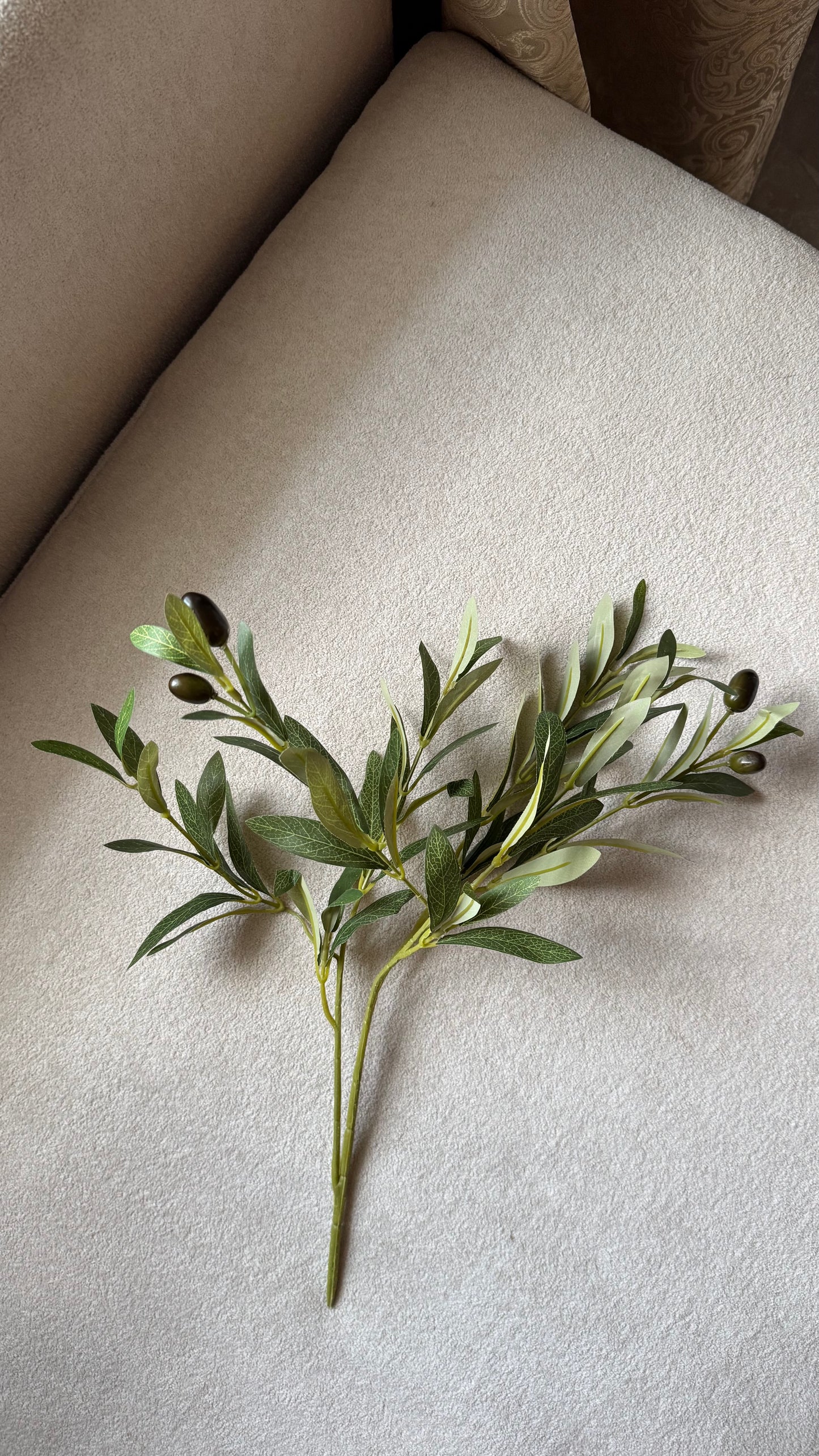 Olive branches( Preorder)